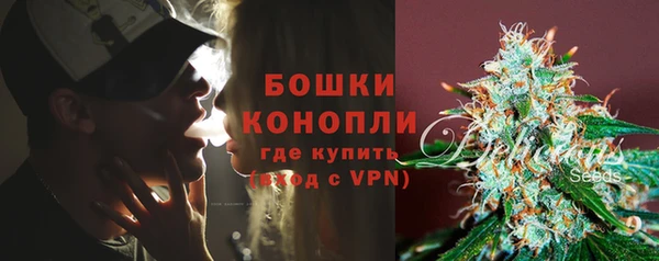 первитин Богданович