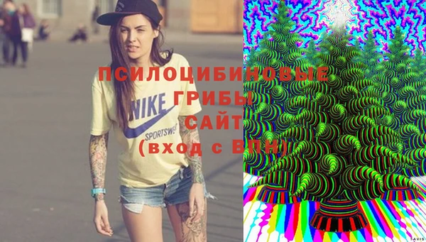 марки nbome Богородицк