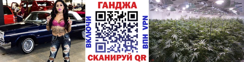 Бошки Шишки индика  Купить закладки  Иланский 